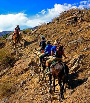 Donkey tour around the Nevado Alpamayo